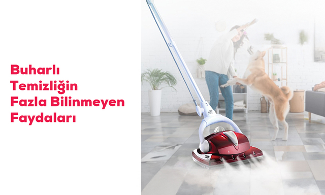 Buharlı Temizliğin Fazla Bilinmeyen Faydaları